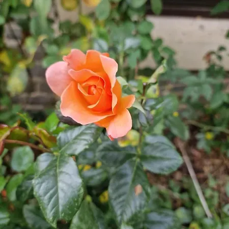 Les Jardins De La D'olne Bed & Breakfast